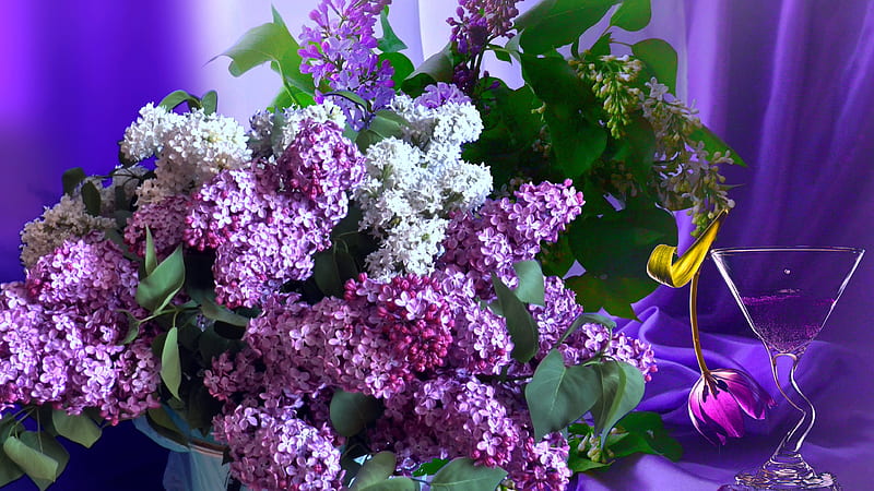 Lilac bouquet, Purple, Flowers, Bouquet, Lilac, HD wallpaper | Peakpx