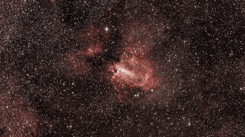 Nebula Lobster Glow Starry Sky Black Space Background Space, HD wallpaper
