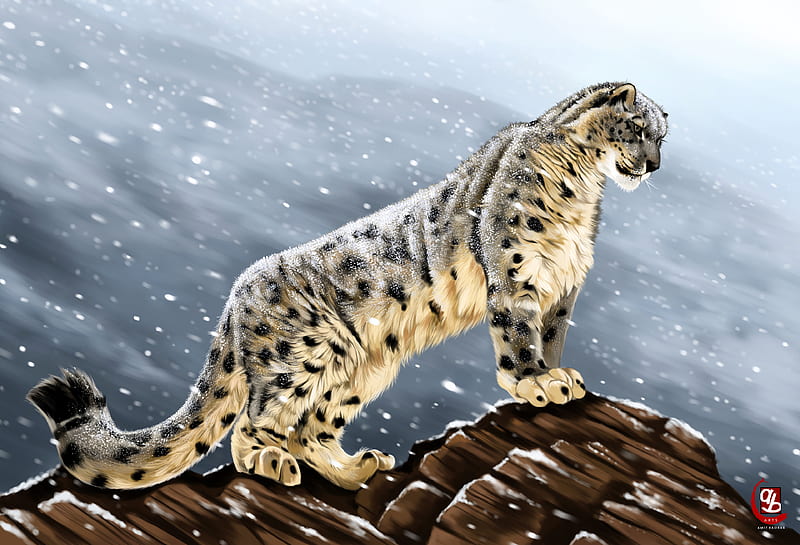 snow leopard, big cat, predator, glance, stones, art, HD wallpaper