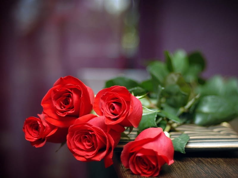 A Gift of Love, red, rose, love, flowers, gift, HD wallpaper | Peakpx