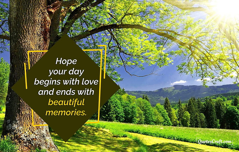 Message in a field, Love, Beautiful memories, Message, Tree, Field, HD wallpaper