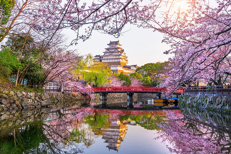 Castles, Himeji Castle, Spring, Japan, Sakura, Blossom, Castle, Reflection, HD wallpaper