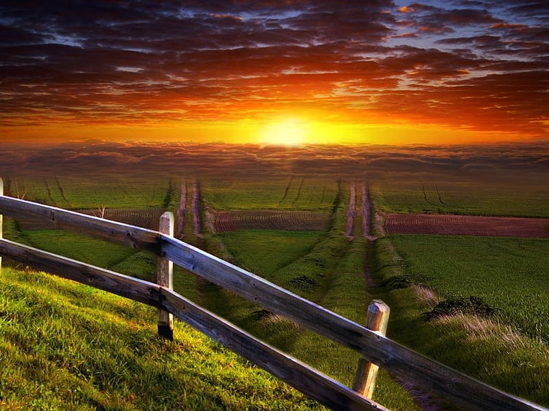 Which road to take, rustic, fence, rural, grass, orange, outback, sunset, twilight, country, roads, nature, field, HD wallpaper