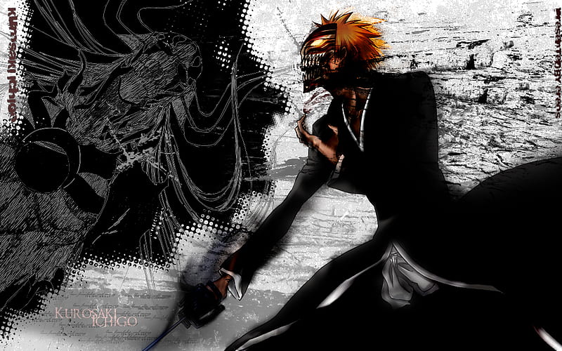 Ichigo going into the vizard, dont you think this, is hard, HD wallpaper
