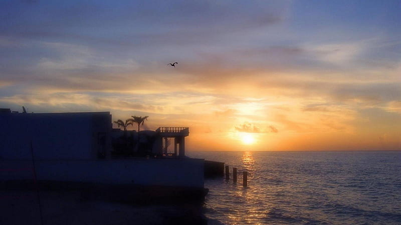 sunrise in cancun mexico, sunrise, house, bird, sea, HD wallpaper