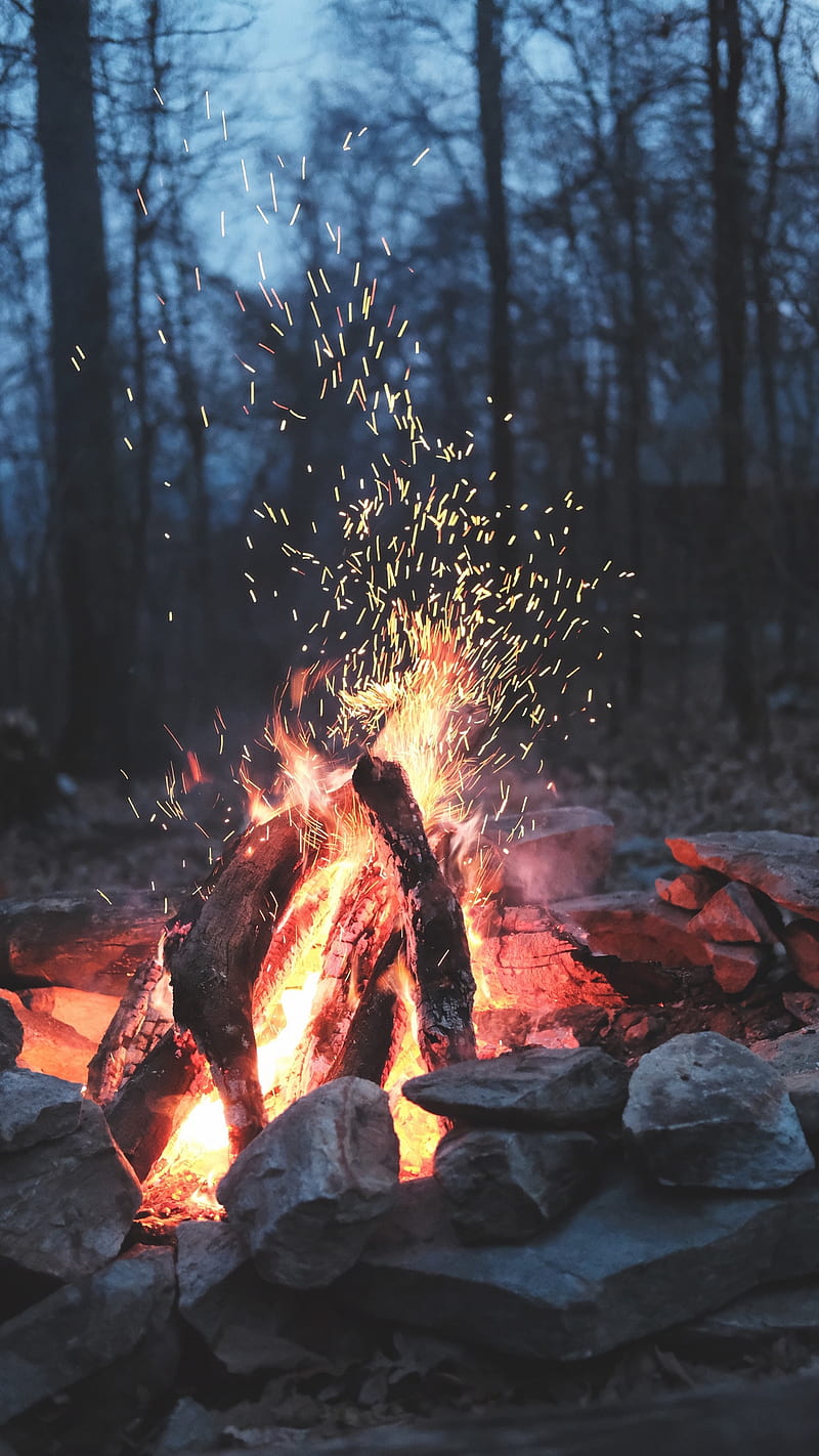 Camping, burning, camp, fire, flames, nature, night, trees, wood, HD phone wallpaper