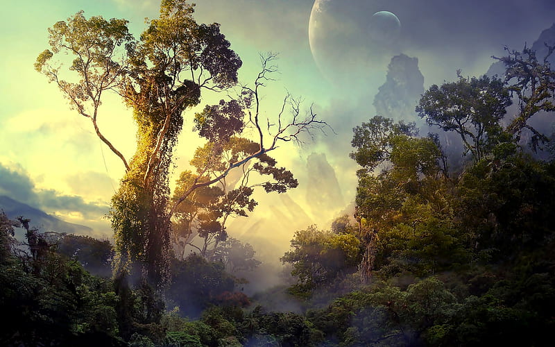 NNN  Lets Grow an Avatar Forest