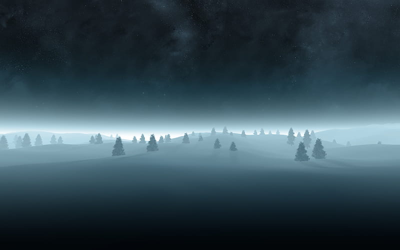 Winter Trees At Night, HD wallpaper