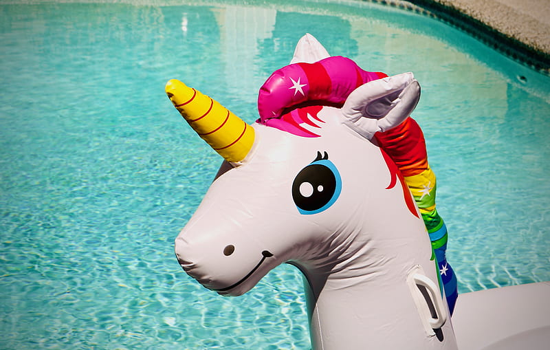 unicorn inflatable toy, HD wallpaper