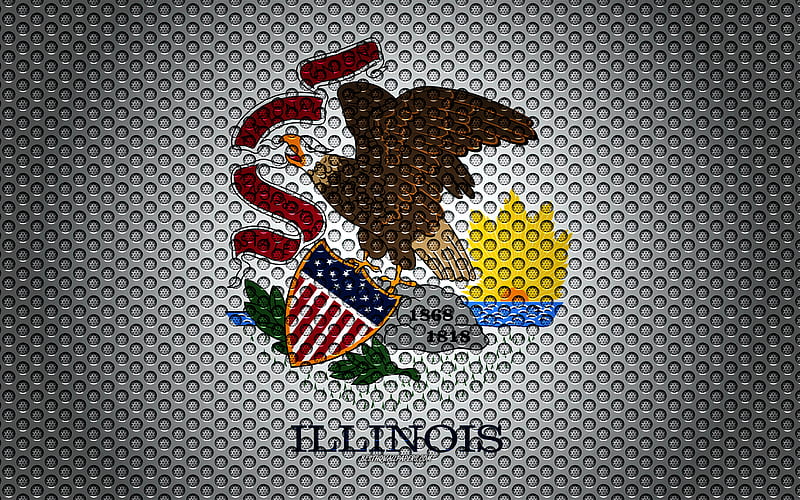 Flag of Illinois American state, creative art, metal mesh texture, Illinois flag, national symbol, Illinois, USA, flags of American states, HD wallpaper