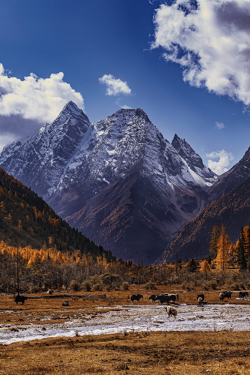 Sichuan, landscape, mountains, valley, HD phone wallpaper