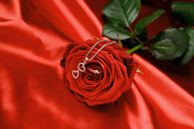 With love ..., with love, red, pretty, rose, bonito, silk, valentine s day, red rose, still life, graphy, nice, love, beauty, harmony, amazing, lovely, romantic, romance, holiday, satin, necklace, corazones, delicate, elegantly, jewelry, cool, heart, flower, great, ring, HD wallpaper