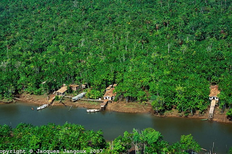 Casas en el rio amazonas, rio, amazonas, campamentos, casas, Fondo de  pantalla HD | Peakpx
