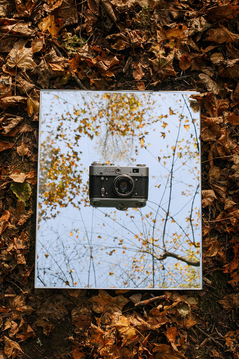 camera, vintage, retro, autumn, leaves, HD phone wallpaper