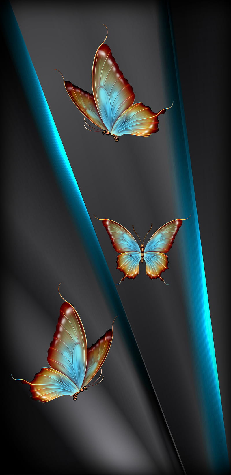 HD neon butterfly wallpapers | Peakpx