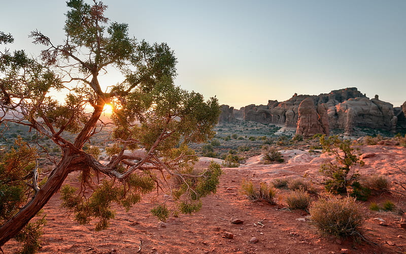 desert, evening, sunset, red rocks, mountain landscape, Utah, USA, HD wallpaper