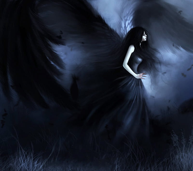Angel, black, dark, goth, wings, HD wallpaper