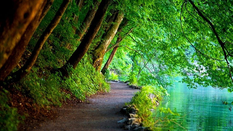Riverside Walk, riverside, nature, walk, river, trees, HD wallpaper