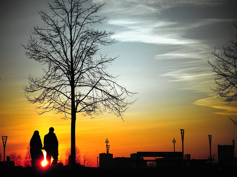 couple, silhouettes, sunset, walk, tree, HD wallpaper
