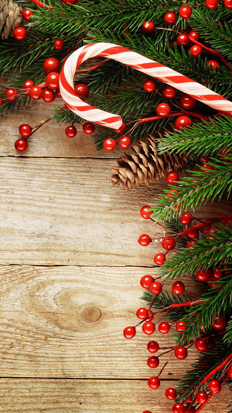 Navidad, lindo, alegre, feliz navidad, navidad, Fondo de pantalla de  teléfono HD | Peakpx