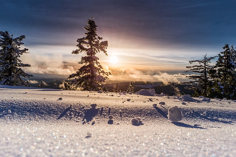 low angle of snow field, HD wallpaper
