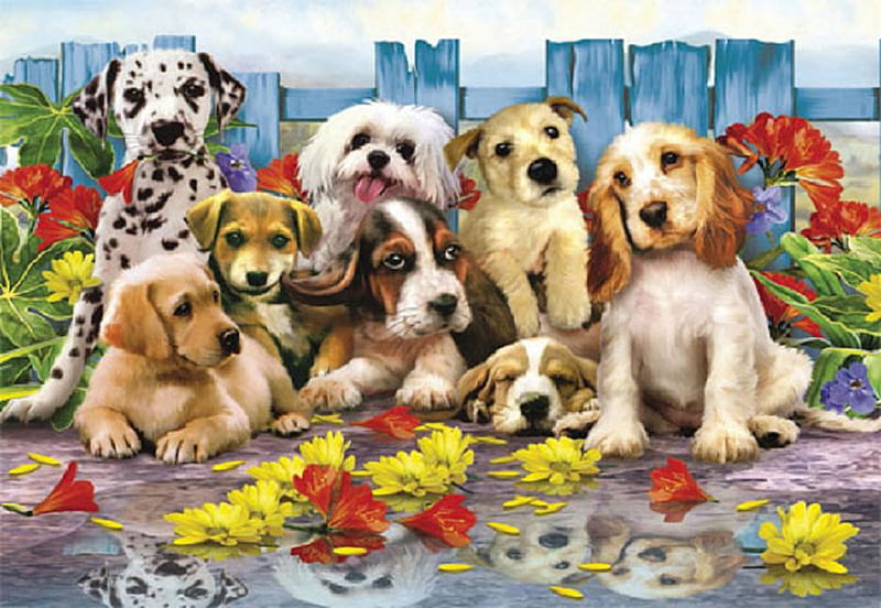 Posing puppies., flower, fence, pose, dog, HD wallpaper