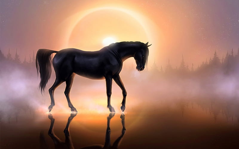 Horse at sunset, sunset, sunrise, silhouette, horse, HD wallpaper