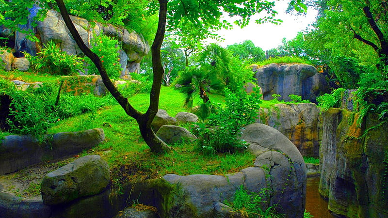Green Plants Grass Bushes Trees Rock Stones Garden Scenery Background Scenery, HD wallpaper