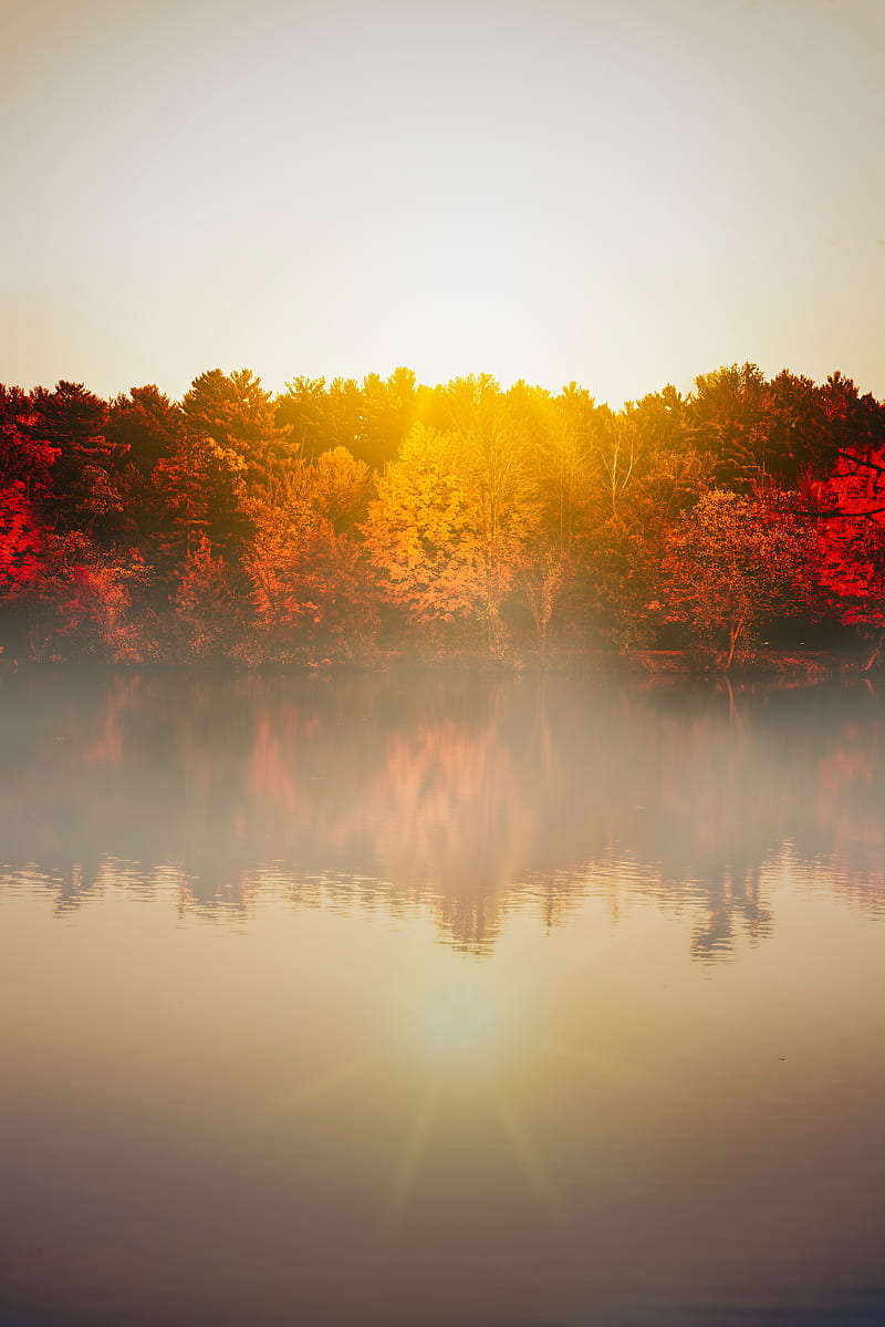 lake, fog, trees, sunlight, landscape, HD phone wallpaper