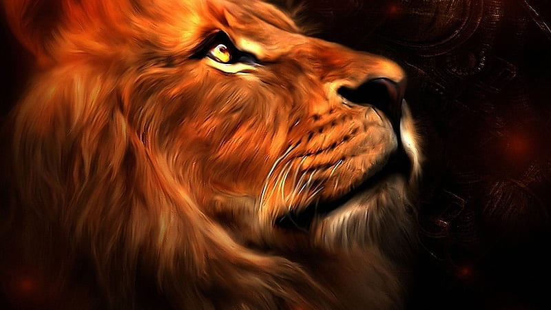 Artistic Lion Lion, HD wallpaper | Peakpx
