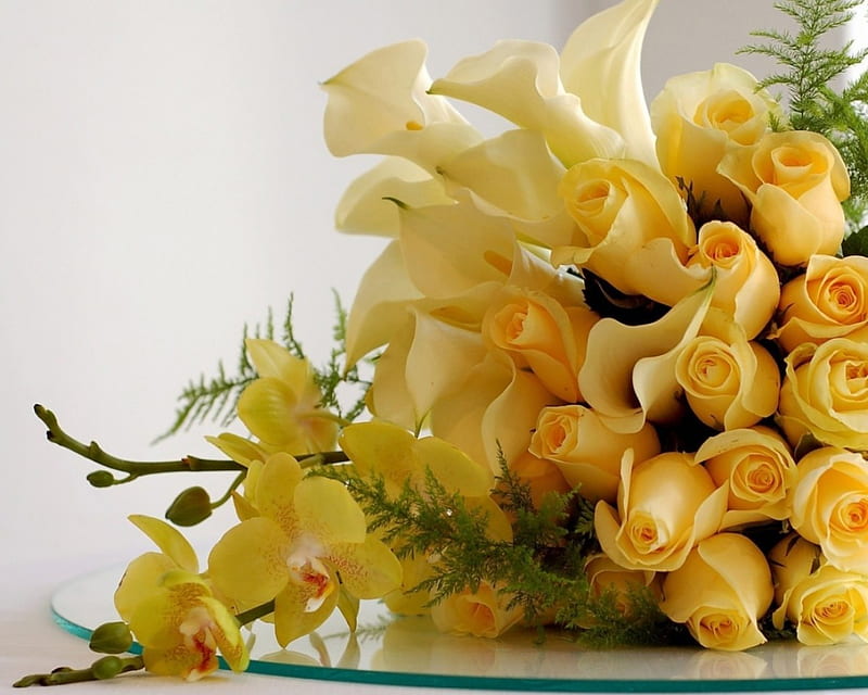 Flores amarillas, amarillas, flores, bonitas, rosas, Fondo de pantalla HD |  Peakpx