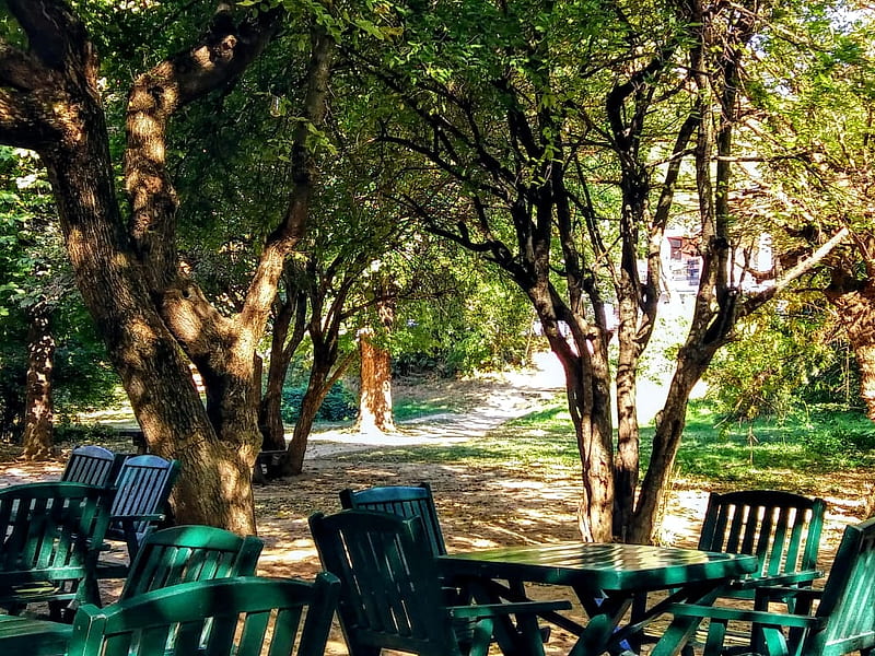 sweet morning coffee, Table, bonito, Trees, Nature, HD wallpaper