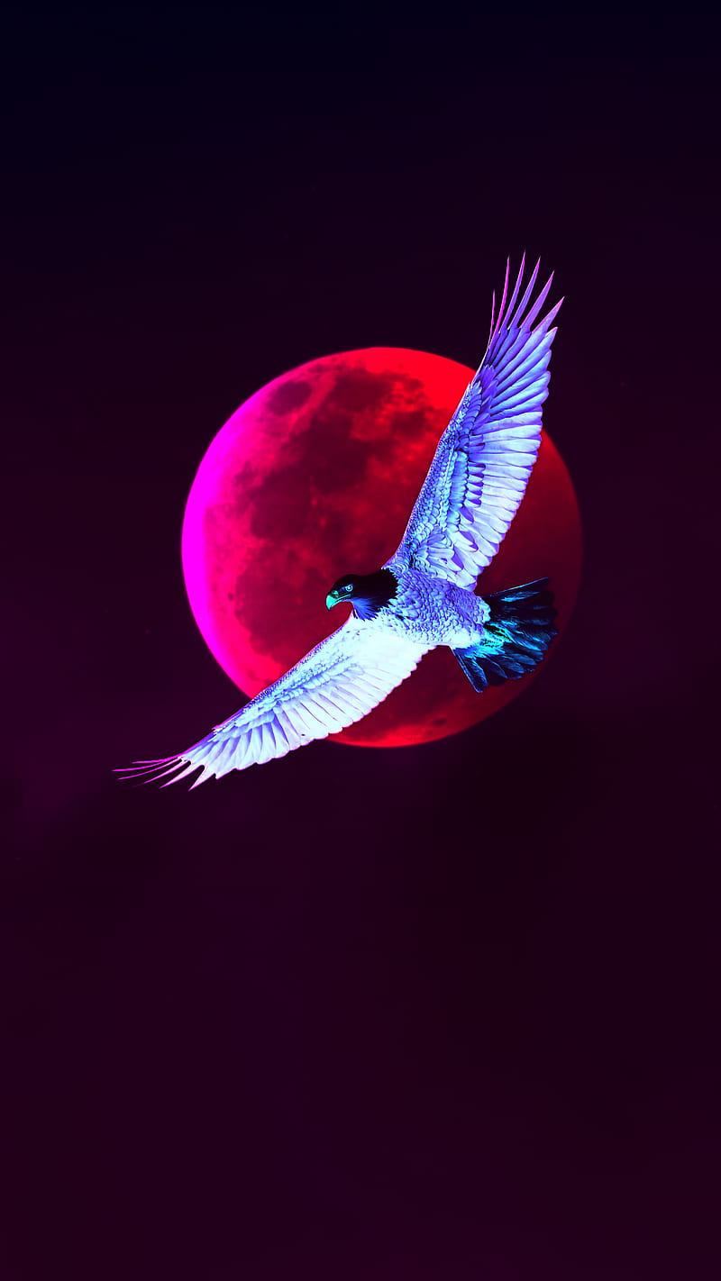Eagle and Full Moon, bird, blue, colorful, eagle bird, fullmoon, goodnight, purple, sky, HD phone wallpaper