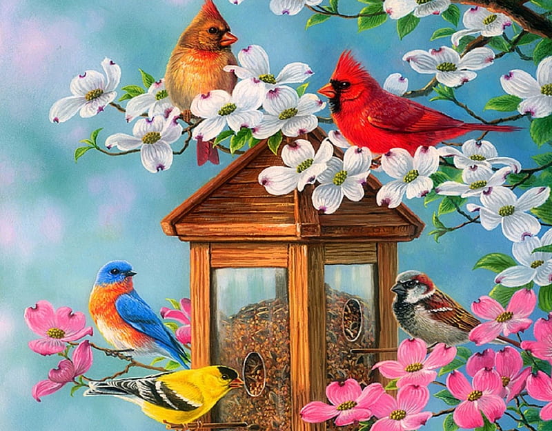 Joys of Spring, pretty, lovely, colors, love four seasons, birds, bonito,  spring, HD wallpaper | Peakpx