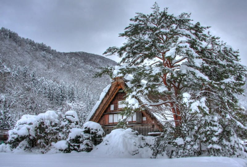 Snowy cottage, japan, snow, winter, HD wallpaper Snowy cottage, japan, snow, winter, HD wallpaper
