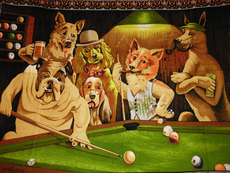 POOL PLAYING DOGS, FUNNY, BALLS, POOL, DOGS, STICK, HD wallpaper