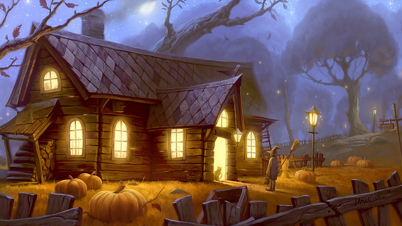 Halloween is Round the Corner..., cottage, halloween, pumpkin, woods, man, cat, lights, night, HD wallpaper