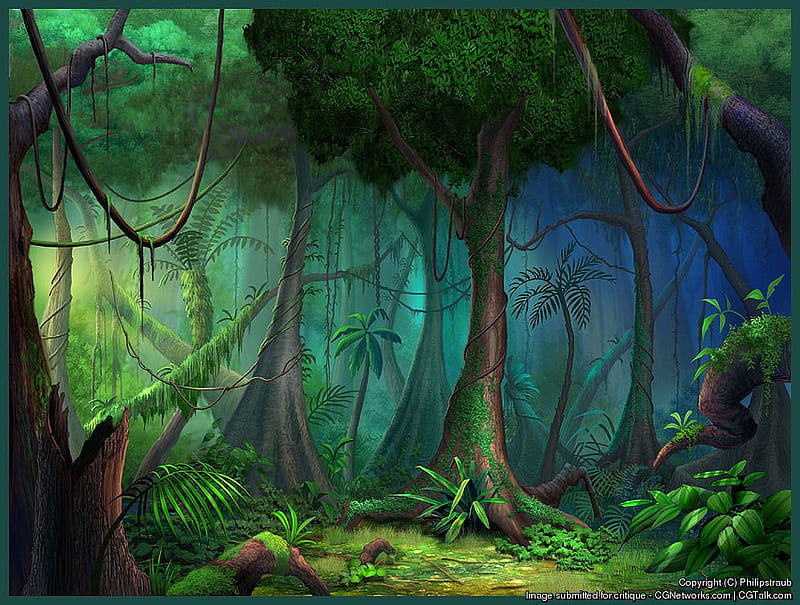 Rain Forest, jungle, forest, bonito, sunlight, HD wallpaper