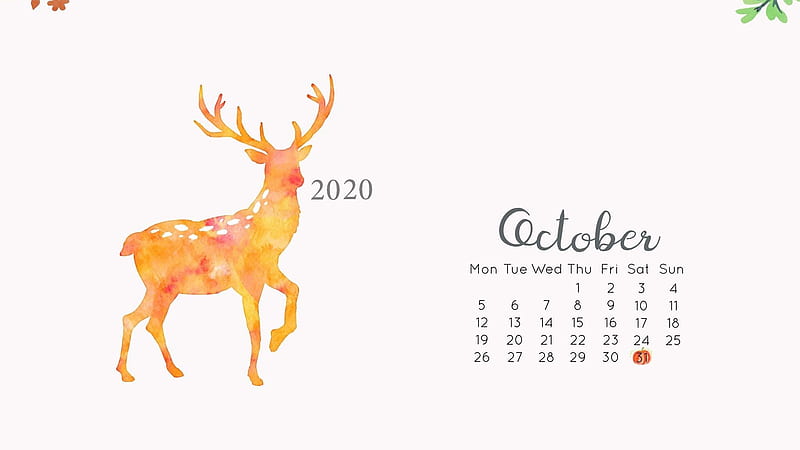Brown Deer In White Background October Calendar October, HD wallpaper