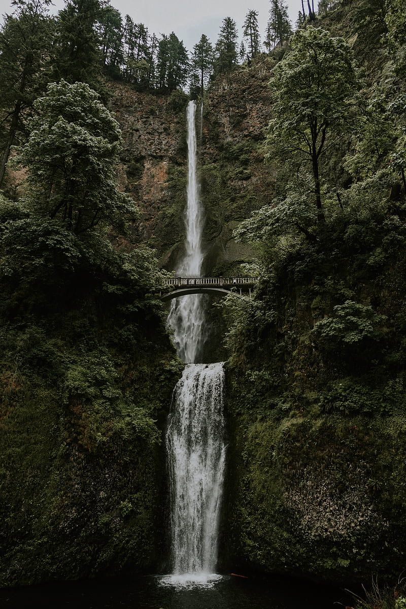waterfall, cliff, bridge, trees, water, HD phone wallpaper