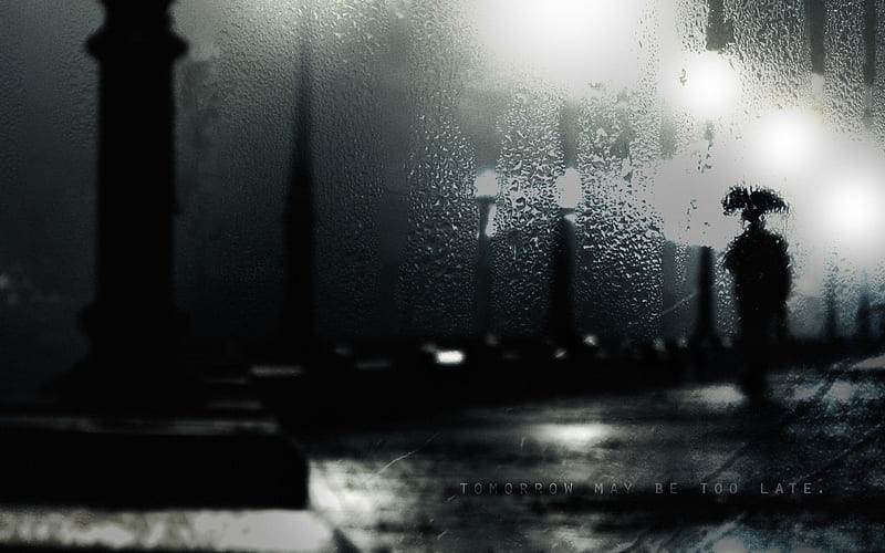 Rainy Night dew, drops, night, rainy, HD wallpaper