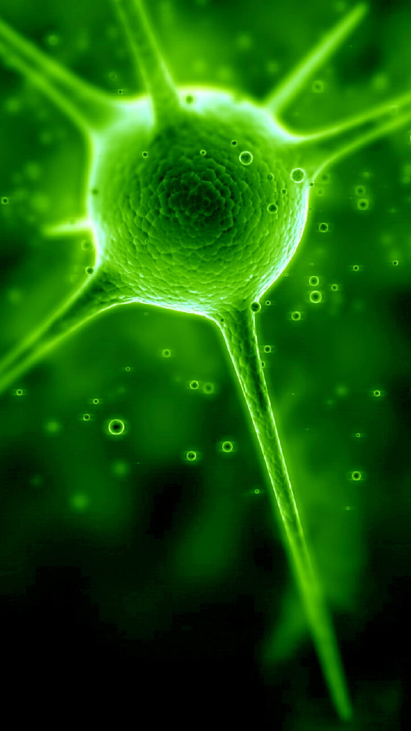Nerve Cell, 3d, abstract, green, neuron, HD phone wallpaper
