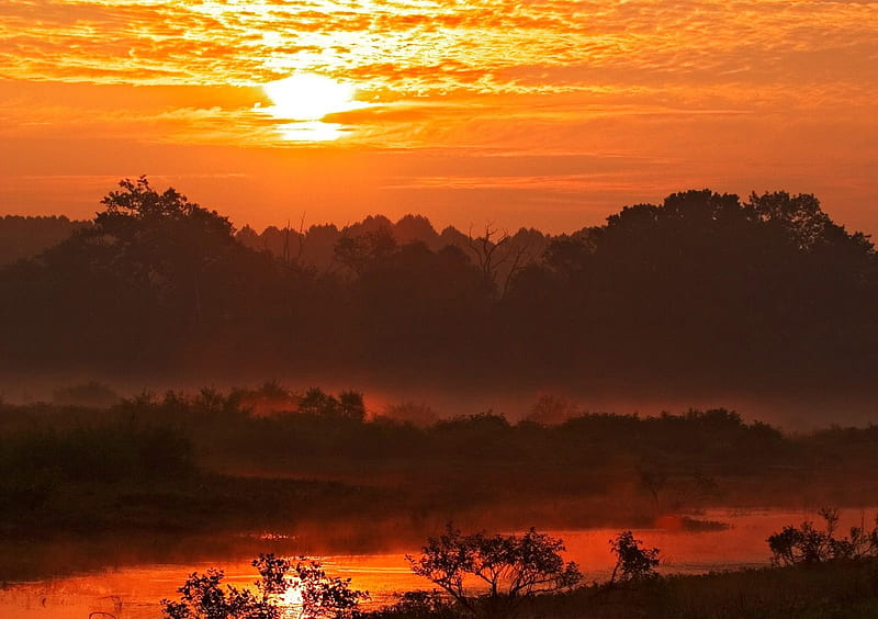 ~Sunrise Over Muscatatuck National Wildlife Refuge~Indiana~, indiana, folige, orange, woods, bonito, trees, sky, clouds, muscatatuck, water, refuge, nature, river, sunrise, HD wallpaper