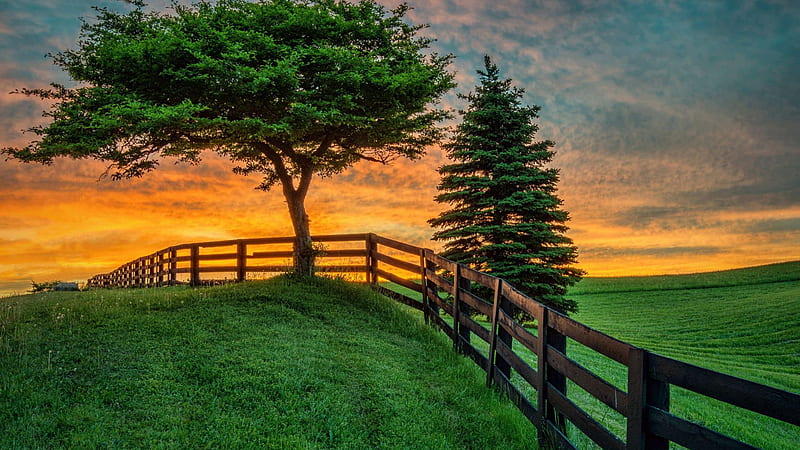 Field at Sunset, sky, fence, colors, landscape, trees, clouds, HD ...