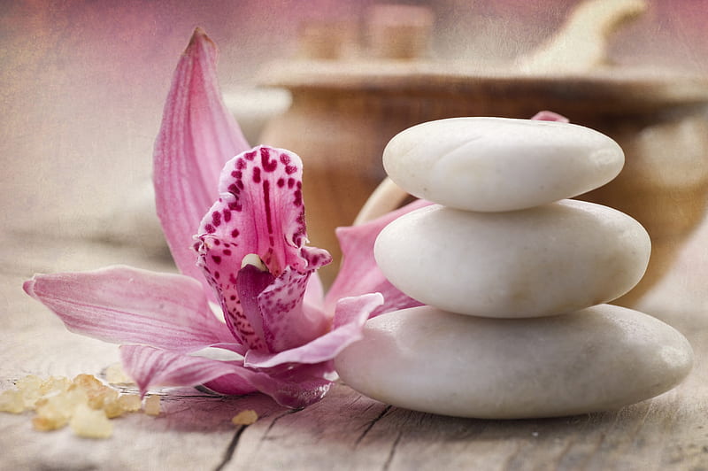 Zen Spa , lovely, zen, pebbles, bonito, graphy, stones, orchid, spa, flower, pink, HD wallpaper