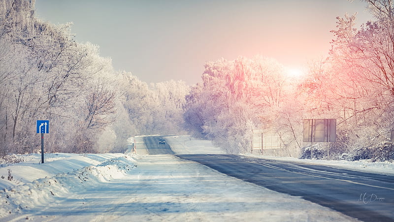 Winter Sunrise, drive, trees, sky, winter, snow, car, sunrise, road, Firefox Persona theme, HD wallpaper