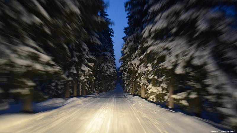speeding down a winter lane in finland, forest, speed, road, snow, HD wallpaper