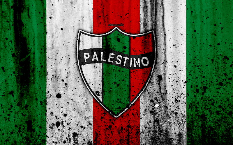 FC Palestino, art, grunge, Chilean Primera Division, soccer, football club, Chile, Palestino, logo, stone texture, Palestino FC, HD wallpaper