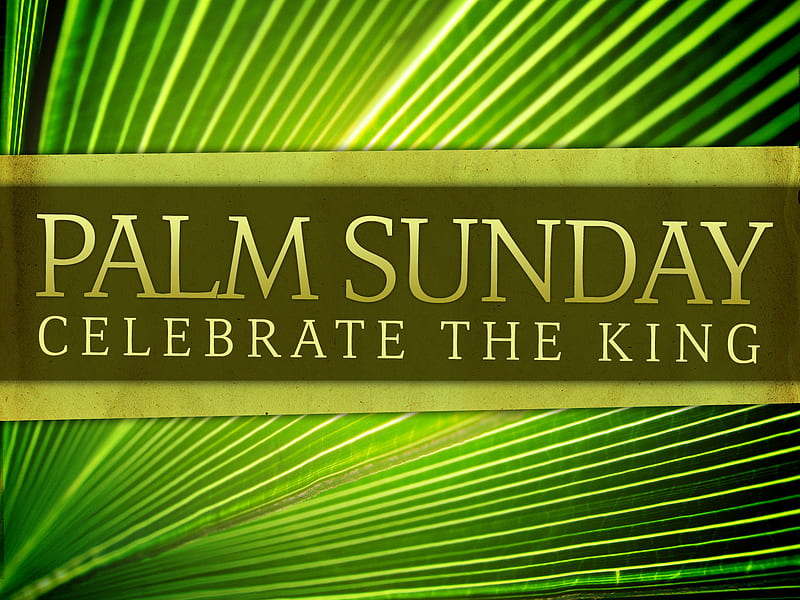 Palm Sunday, palm, sunday, celebrate, christian, HD wallpaper