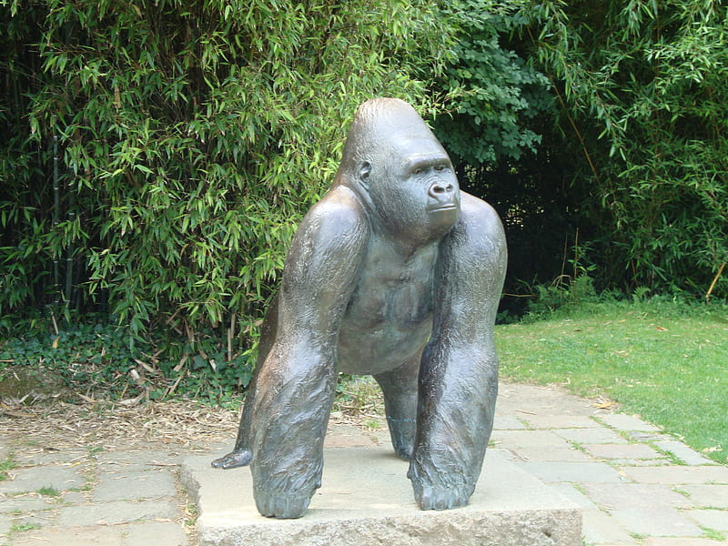 Jambo, the legendary Gorilla, gorrila, durrel, statue, primates, HD wallpaper